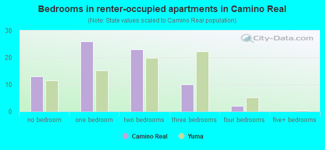 Bedrooms in renter-occupied apartments in Camino Real