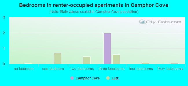 Bedrooms in renter-occupied apartments in Camphor Cove
