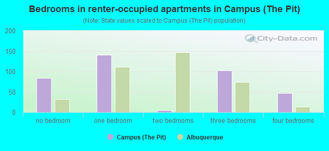 Bedrooms in renter-occupied apartments in Campus (The Pit)