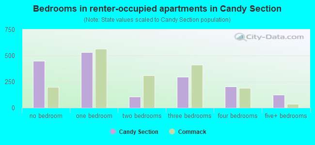 Bedrooms in renter-occupied apartments in Candy Section