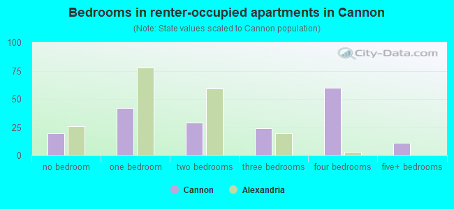 Bedrooms in renter-occupied apartments in Cannon
