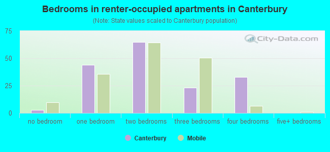 Bedrooms in renter-occupied apartments in Canterbury