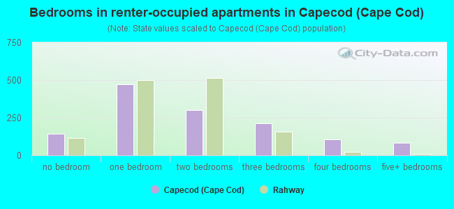 Bedrooms in renter-occupied apartments in Capecod (Cape Cod)