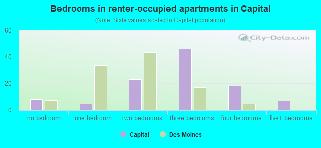 Bedrooms in renter-occupied apartments in Capital