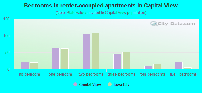 Bedrooms in renter-occupied apartments in Capital View