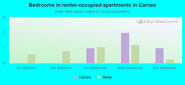 Bedrooms in renter-occupied apartments in Carnes