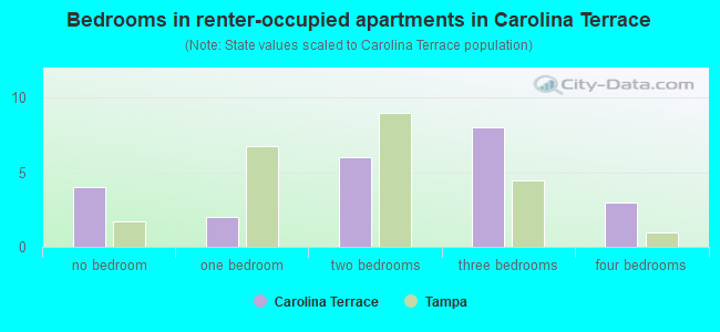 Bedrooms in renter-occupied apartments in Carolina Terrace