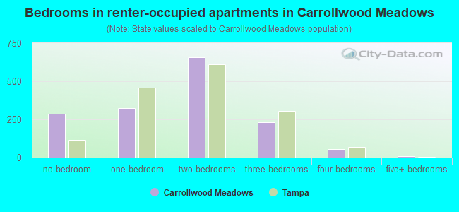 Bedrooms in renter-occupied apartments in Carrollwood Meadows