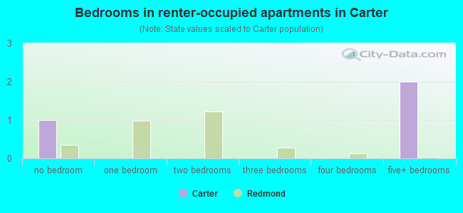 Bedrooms in renter-occupied apartments in Carter