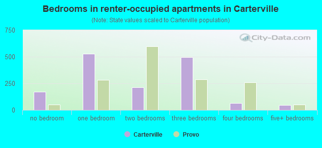 Bedrooms in renter-occupied apartments in Carterville