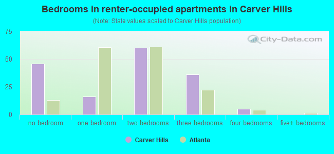 Bedrooms in renter-occupied apartments in Carver Hills