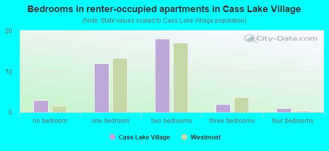Bedrooms in renter-occupied apartments in Cass Lake Village