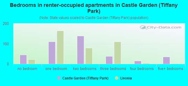 Bedrooms in renter-occupied apartments in Castle Garden (Tiffany Park)