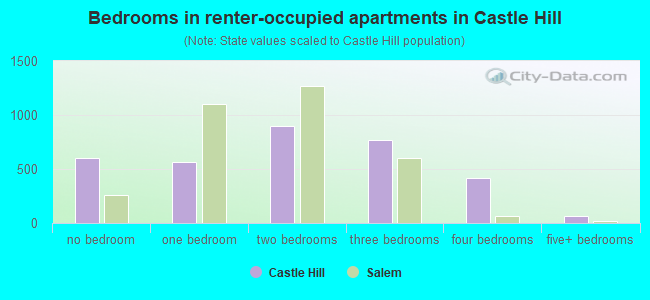 Bedrooms in renter-occupied apartments in Castle Hill