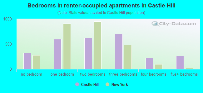 Bedrooms in renter-occupied apartments in Castle Hill
