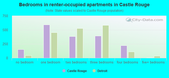 Bedrooms in renter-occupied apartments in Castle Rouge