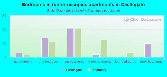 Bedrooms in renter-occupied apartments in Castlegate