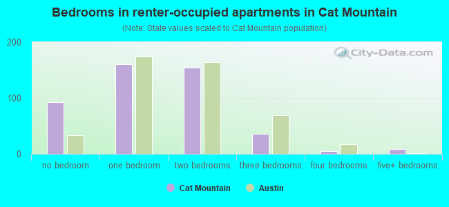 Bedrooms in renter-occupied apartments in Cat Mountain