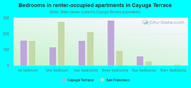 Bedrooms in renter-occupied apartments in Cayuga Terrace
