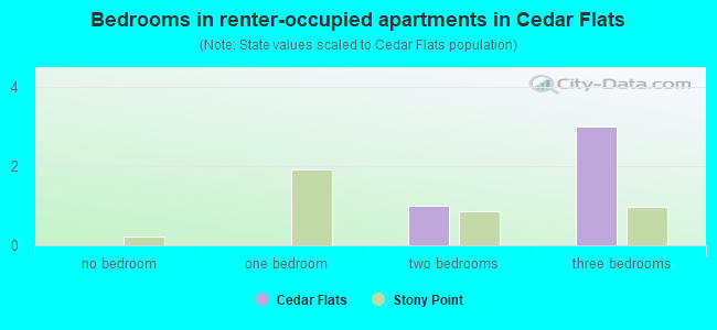 Bedrooms in renter-occupied apartments in Cedar Flats