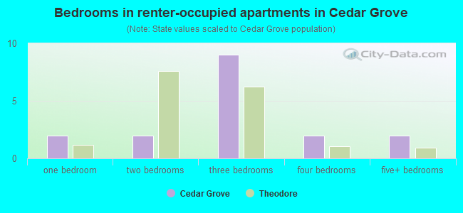 Bedrooms in renter-occupied apartments in Cedar Grove