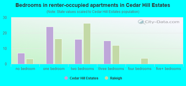 Bedrooms in renter-occupied apartments in Cedar Hill Estates