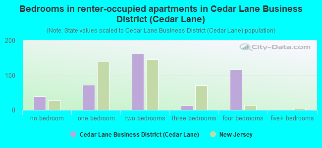 Bedrooms in renter-occupied apartments in Cedar Lane Business District (Cedar Lane)