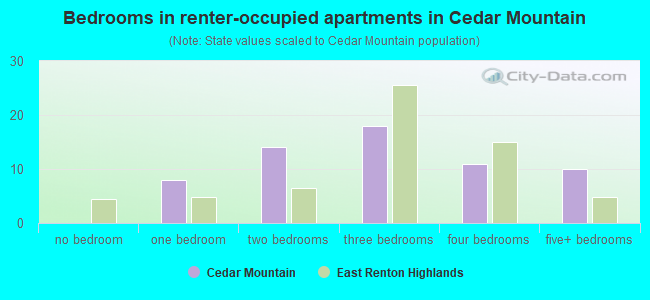Bedrooms in renter-occupied apartments in Cedar Mountain