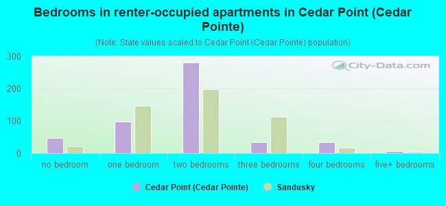 Bedrooms in renter-occupied apartments in Cedar Point (Cedar Pointe)