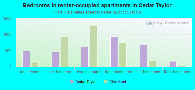 Bedrooms in renter-occupied apartments in Cedar Taylor