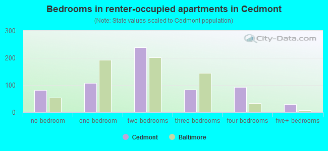 Bedrooms in renter-occupied apartments in Cedmont