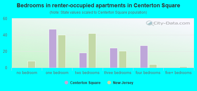Bedrooms in renter-occupied apartments in Centerton Square