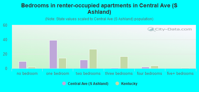 Bedrooms in renter-occupied apartments in Central Ave (S Ashland)