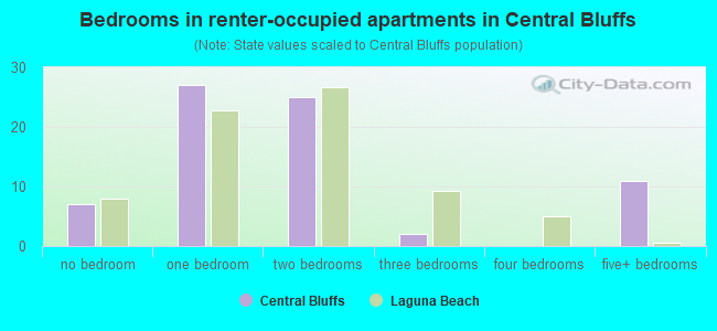 Bedrooms in renter-occupied apartments in Central Bluffs