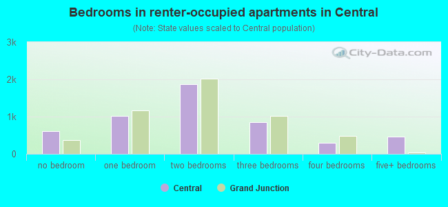Bedrooms in renter-occupied apartments in Central