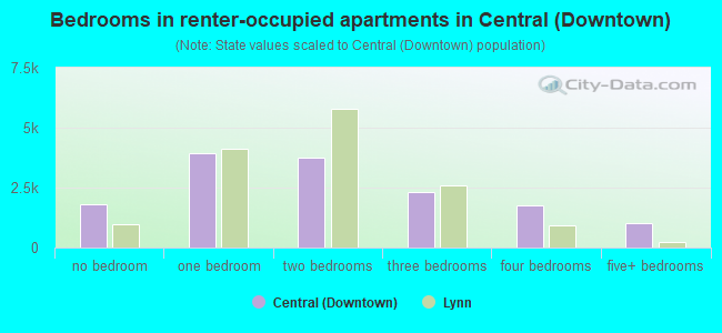Bedrooms in renter-occupied apartments in Central (Downtown)