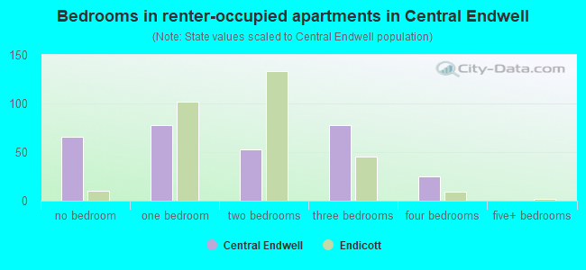 Bedrooms in renter-occupied apartments in Central Endwell