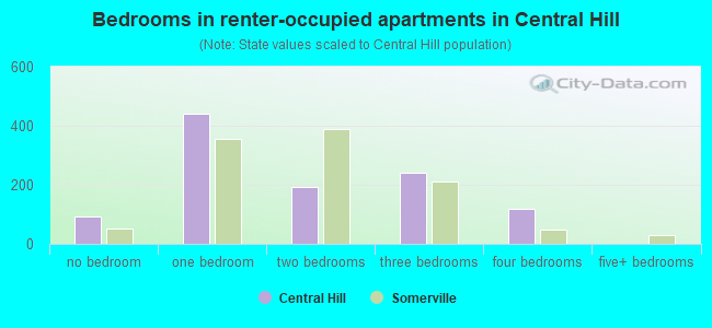 Bedrooms in renter-occupied apartments in Central Hill