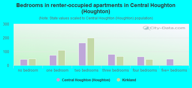 Bedrooms in renter-occupied apartments in Central Houghton (Houghton)