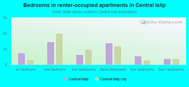 Bedrooms in renter-occupied apartments in Central Islip
