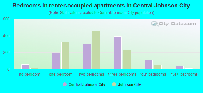 Bedrooms in renter-occupied apartments in Central Johnson City
