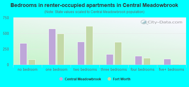 Bedrooms in renter-occupied apartments in Central Meadowbrook