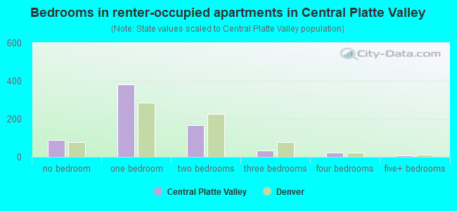 Bedrooms in renter-occupied apartments in Central Platte Valley