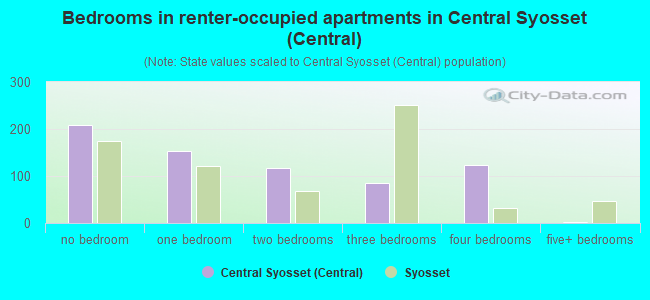 Bedrooms in renter-occupied apartments in Central Syosset (Central)