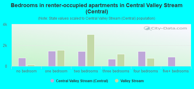 Bedrooms in renter-occupied apartments in Central Valley Stream (Central)