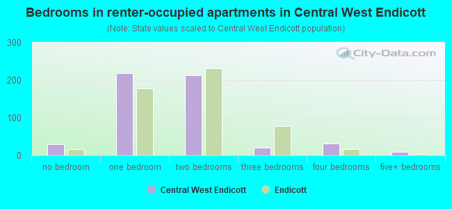 Bedrooms in renter-occupied apartments in Central West Endicott