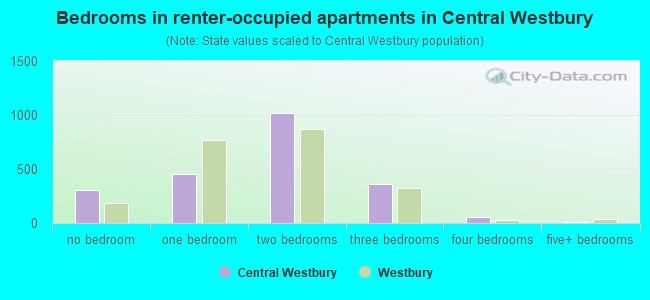 Bedrooms in renter-occupied apartments in Central Westbury
