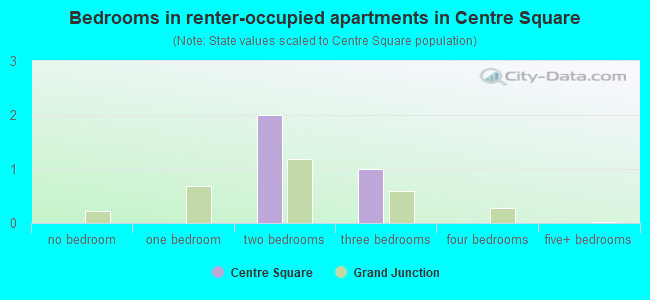 Bedrooms in renter-occupied apartments in Centre Square