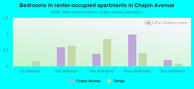 Bedrooms in renter-occupied apartments in Chapin Avenue