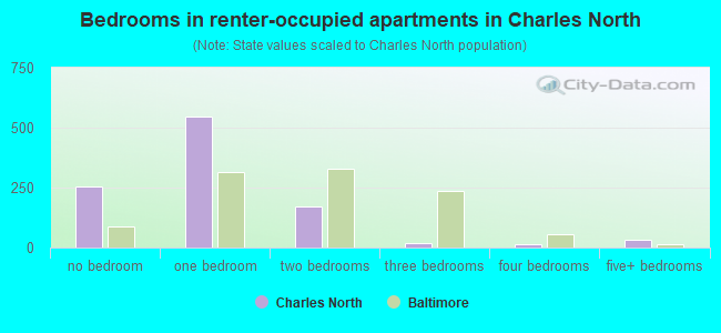 Bedrooms in renter-occupied apartments in Charles North